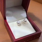 STARRY JEWELRY Sea water natural pearl Akoya round 8-8.5mm daily size 18k earrings extremely strong light