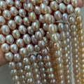 STARRY JEWELRY Natural freshwater pearl necklace, tiny millet-shaped pearls, rare orange-purple color, elegant and clean, delicate.